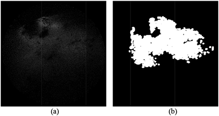 Figure 6: