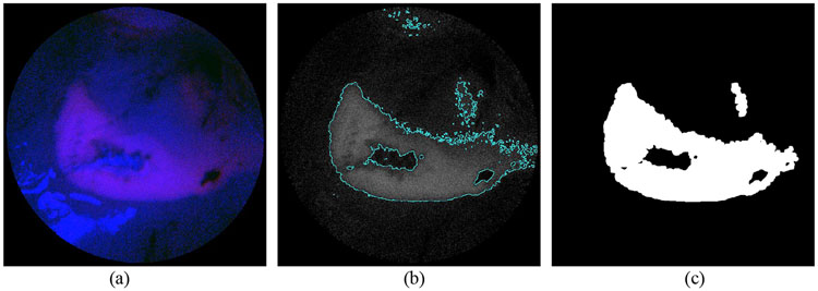 Figure 8: