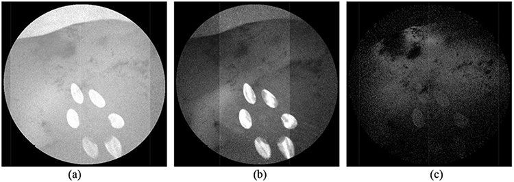 Figure 5: