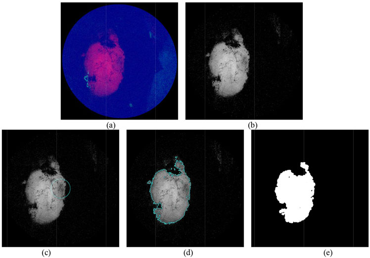 Figure 3: