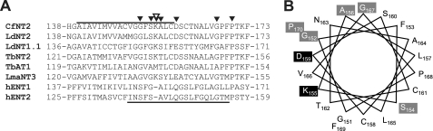 FIGURE 5.