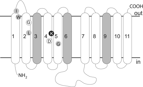 FIGURE 1.