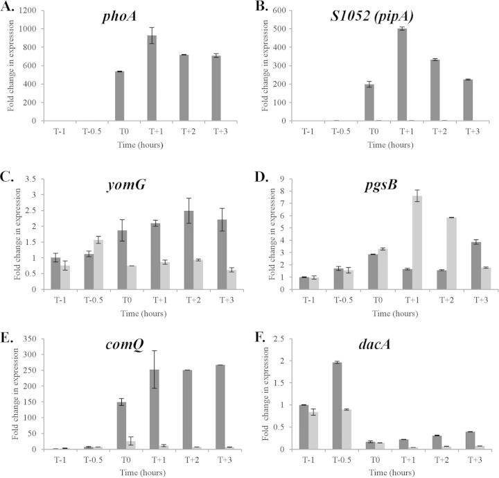 FIG 3