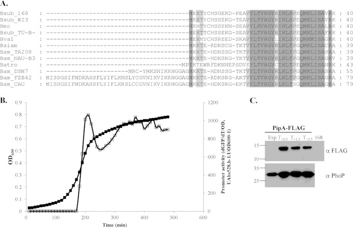 FIG 6