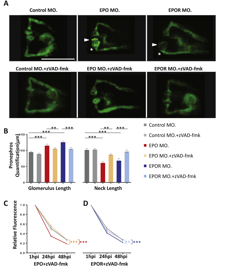 Figure 6