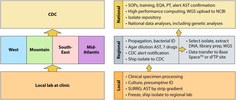 FIG 2