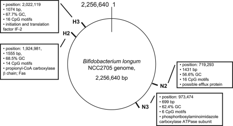 FIG. 2.