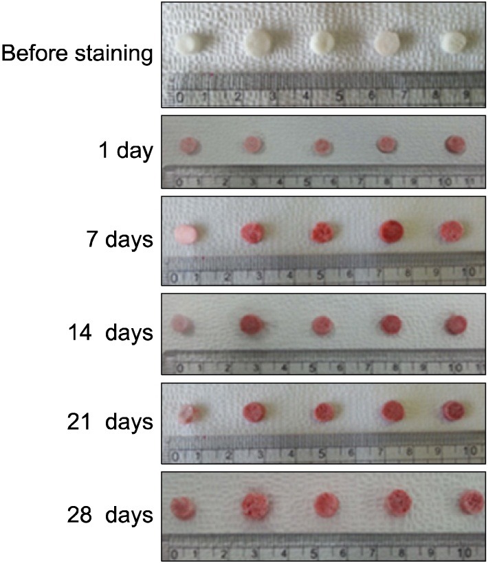 Fig. 6.