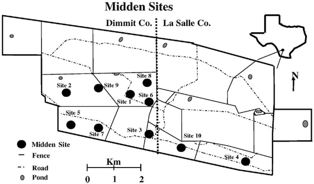 FIG. 1