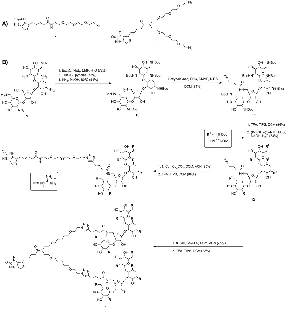 Scheme 3