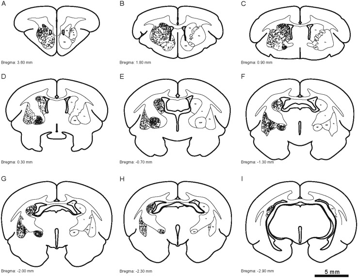 Fig. 8