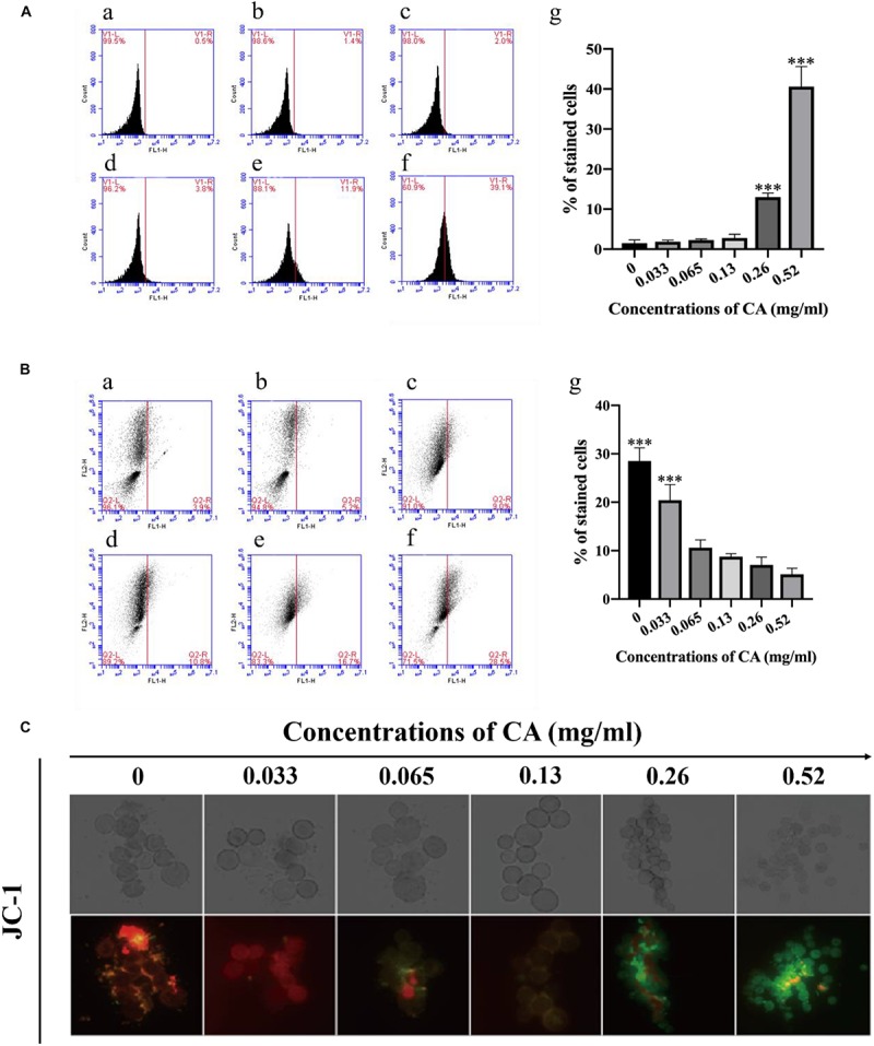 FIGURE 4