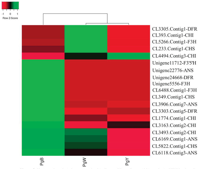 Figure 5