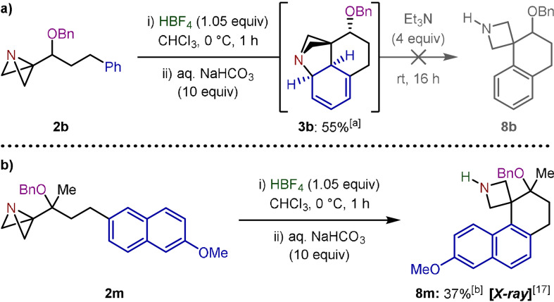 Scheme 3