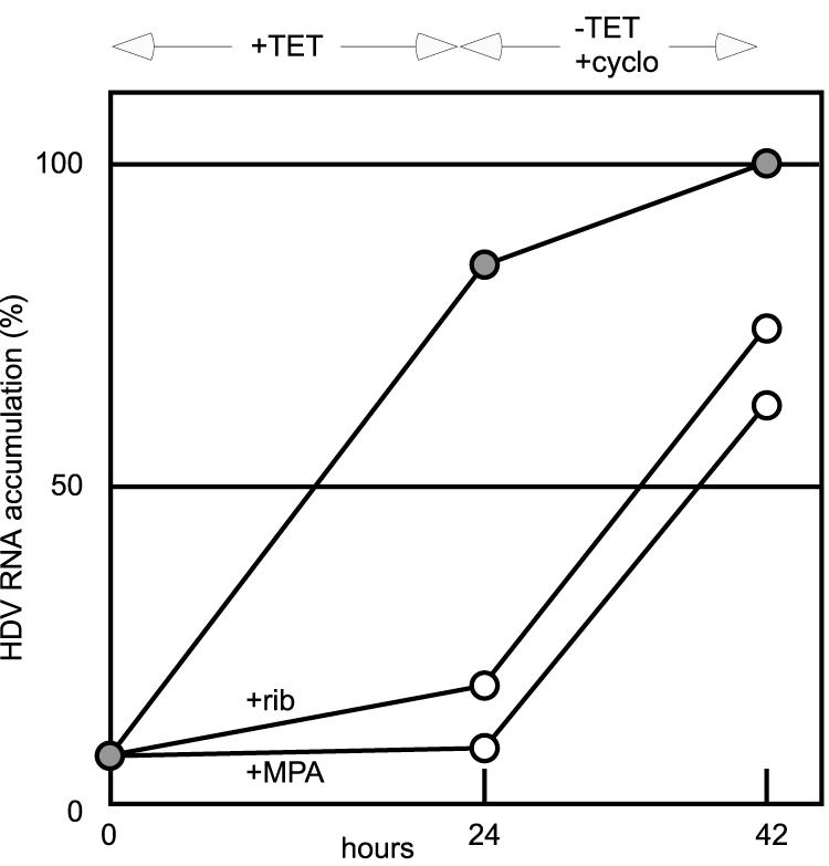 FIG.4.