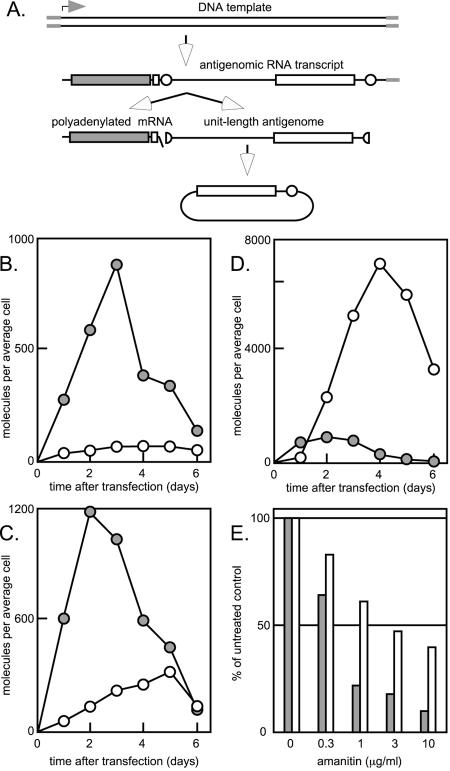 FIG.6.