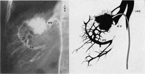 Fig. 9.