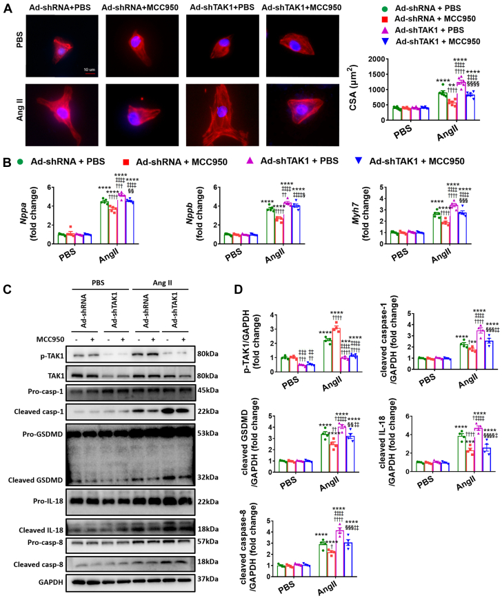 Figure 6