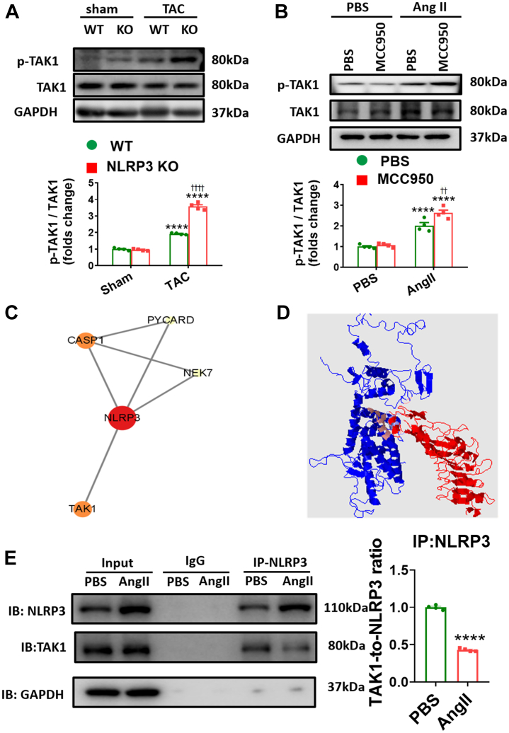 Figure 4