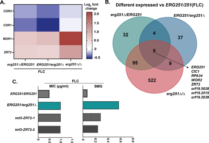 Fig 7.