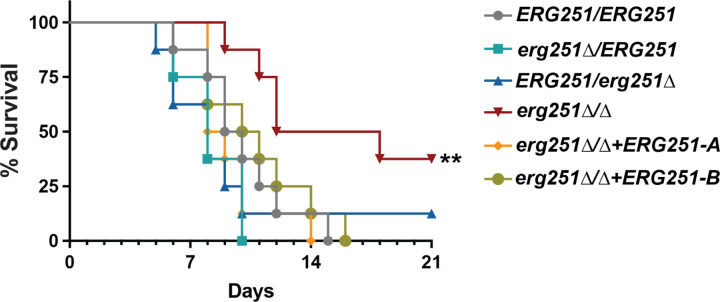 Fig 8.