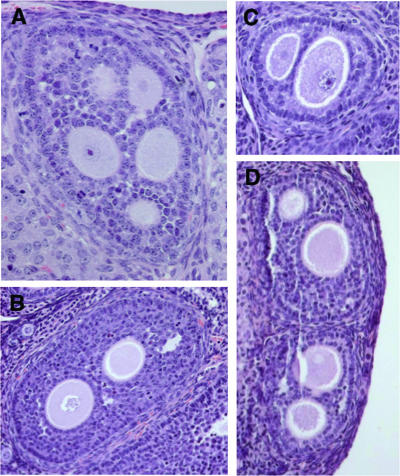 FIG. 5.