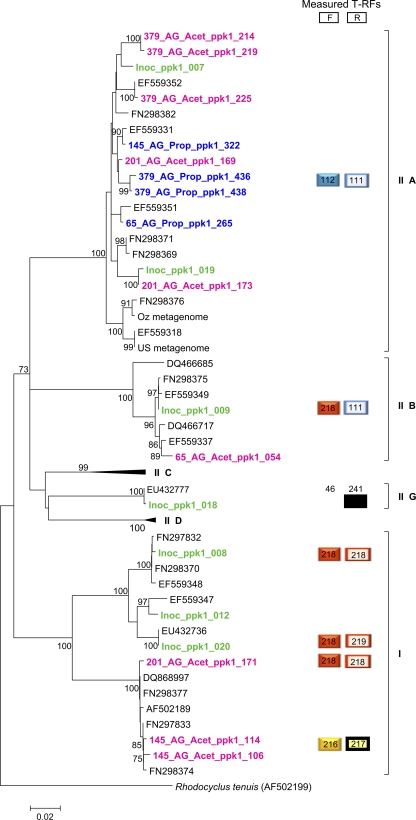 Fig. 8.