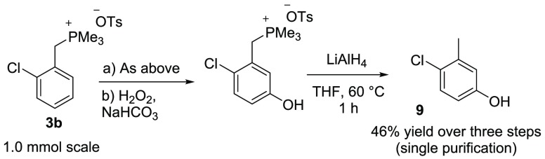 Scheme 5