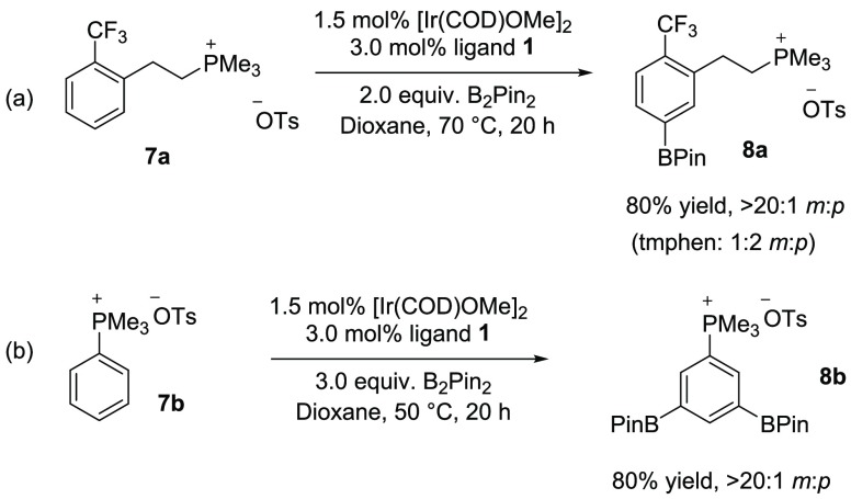 Scheme 4