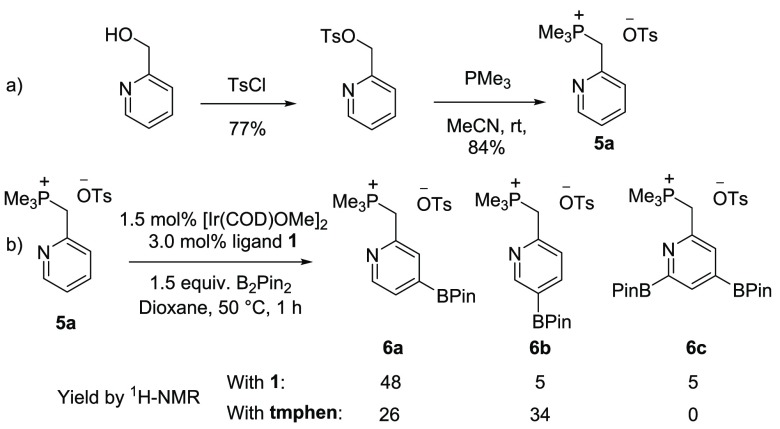 Scheme 3