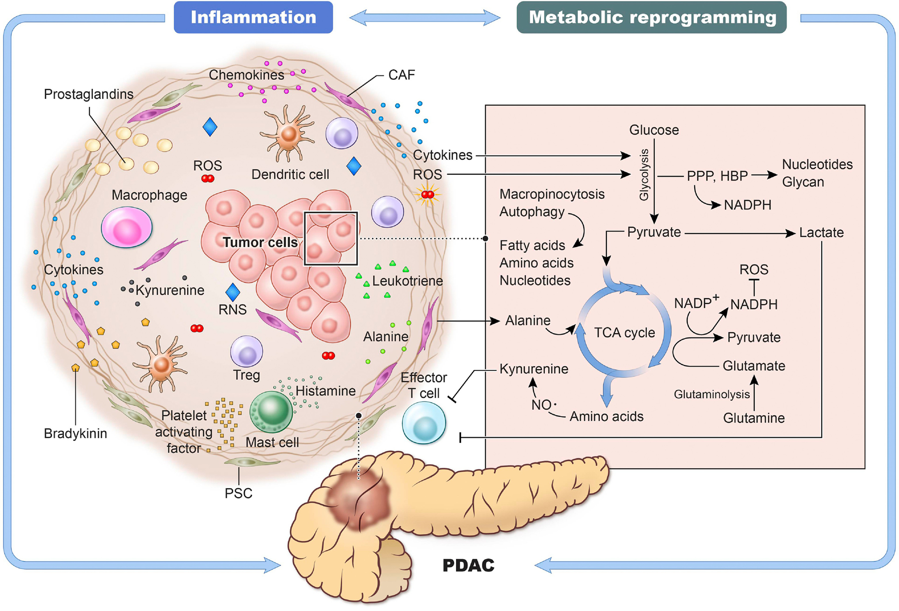 Figure 5, Key Figure.