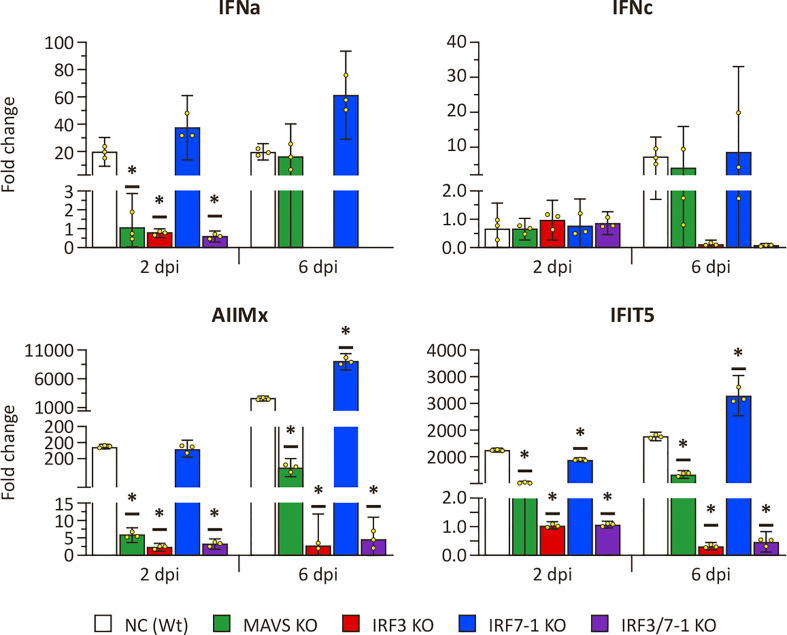 Figure 4