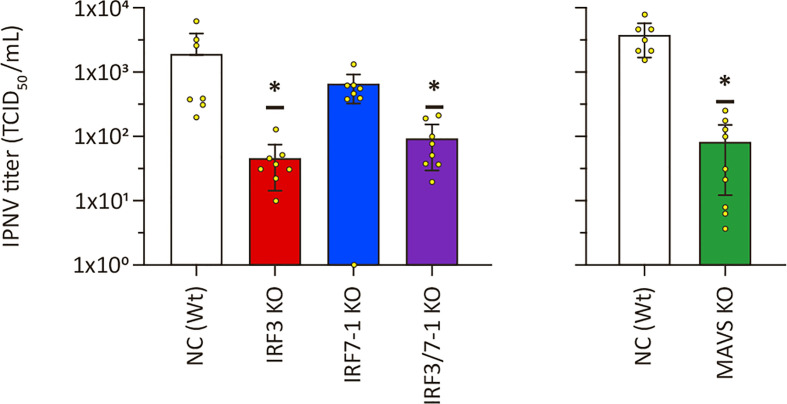 Figure 5