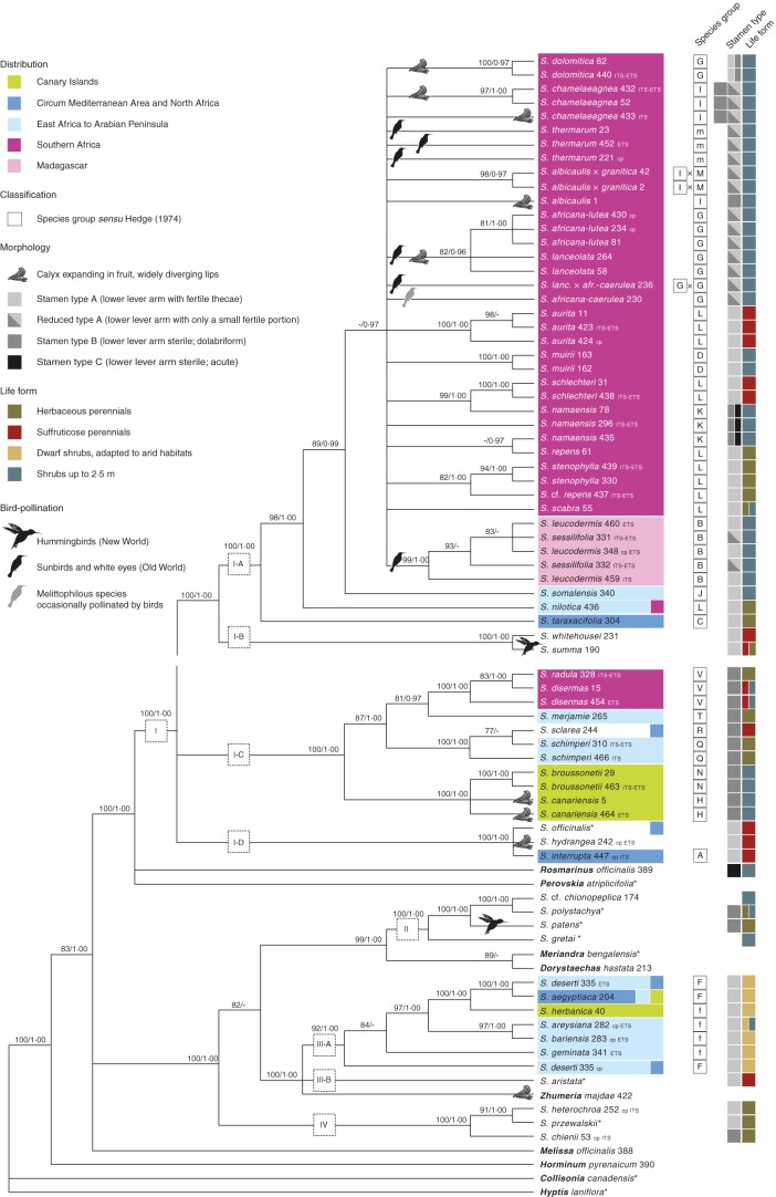 Fig. 7.