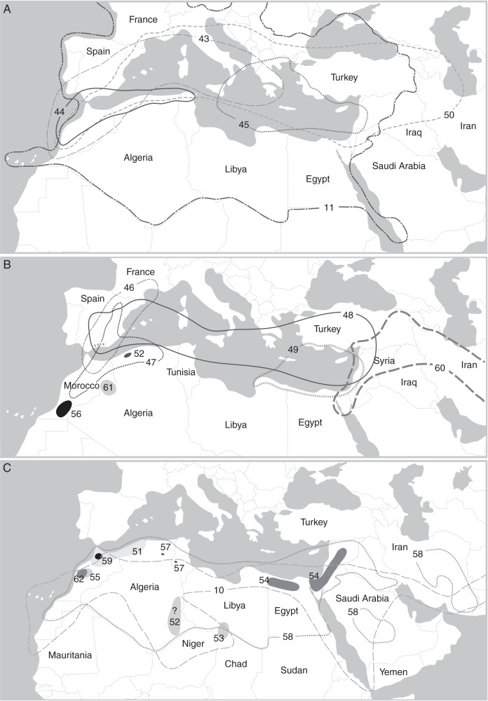 Fig. 10.