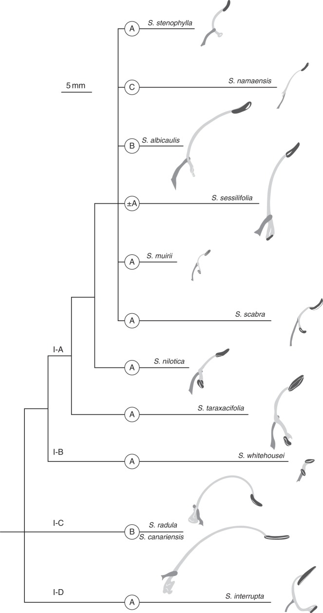 Fig. 8.