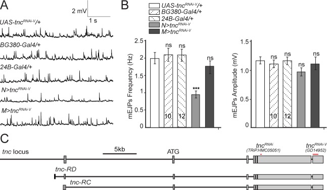 Figure 3—figure supplement 1.