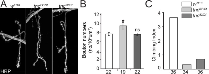 Figure 2—figure supplement 1.