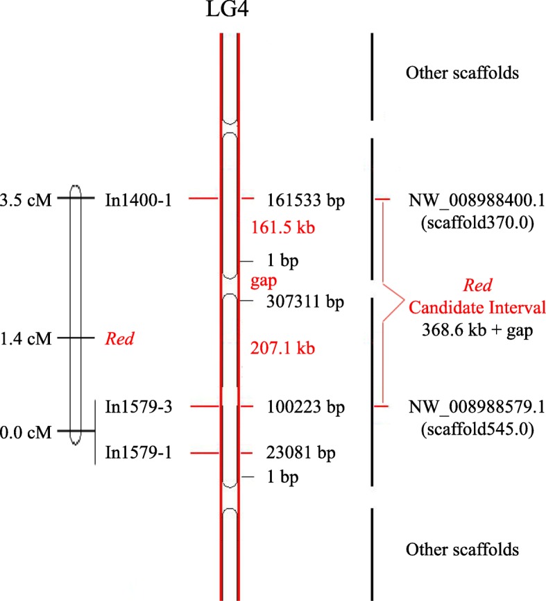 Fig. 4