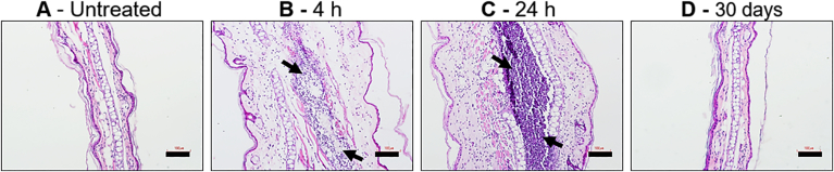 Fig. 8