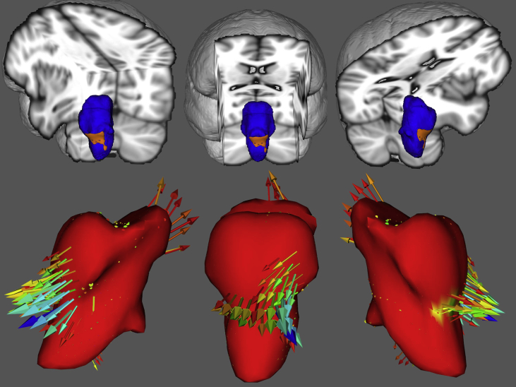 Fig. 3