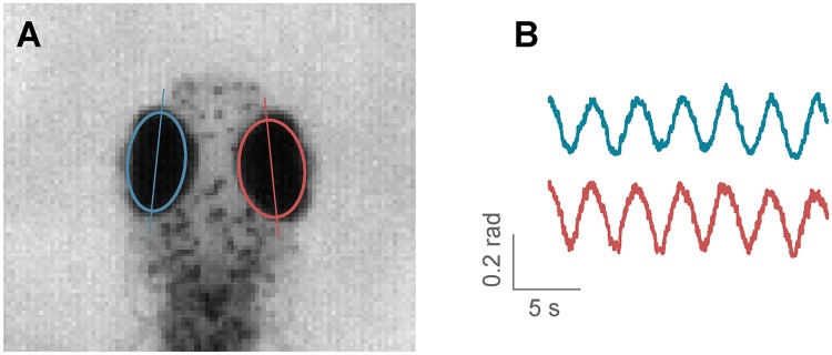 Fig 4