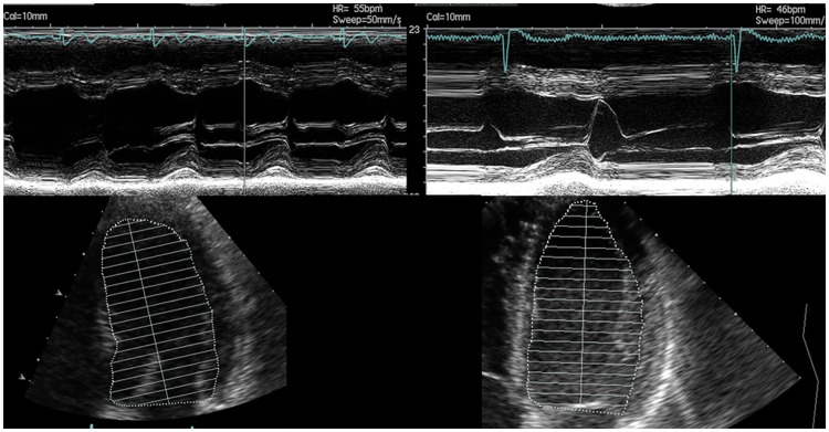 Fig 4