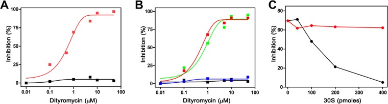 FIG 2