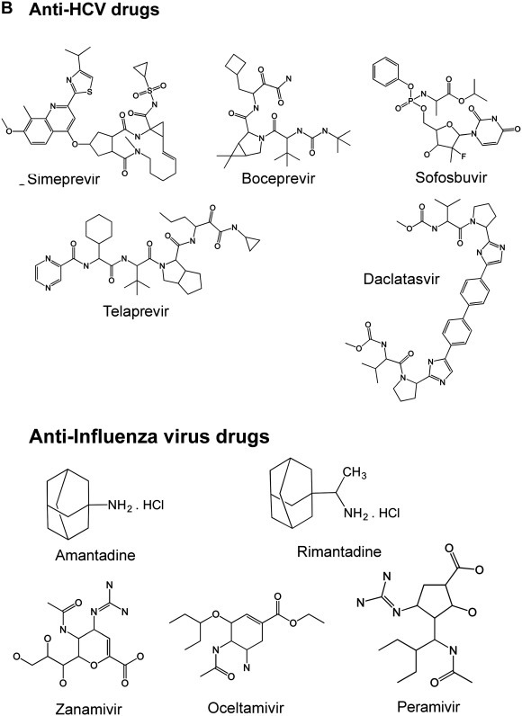 Figure 12.4