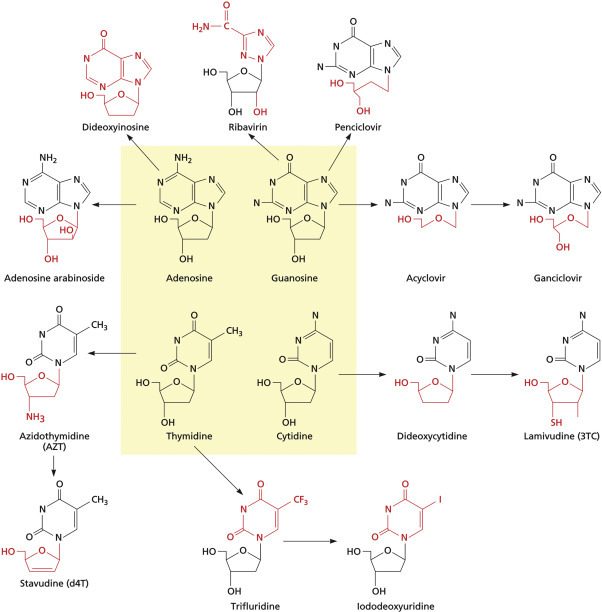 Figure 12.1
