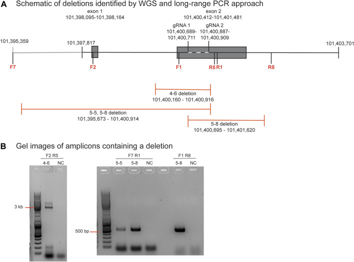 FIGURE 3