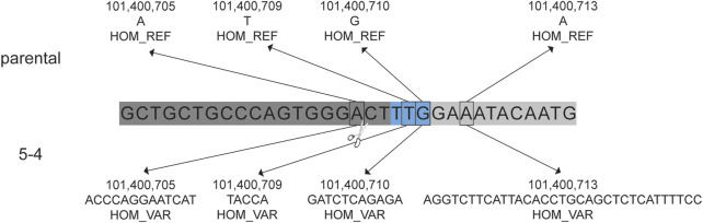 FIGURE 4