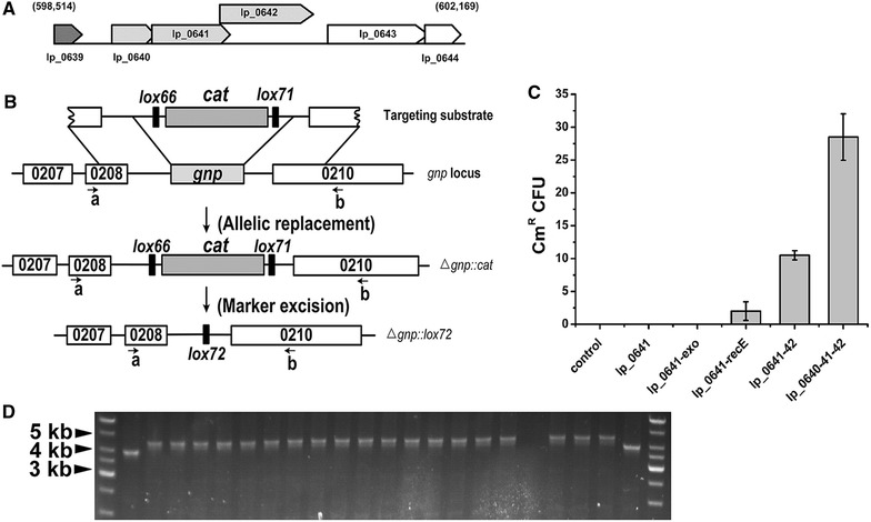 Fig. 1