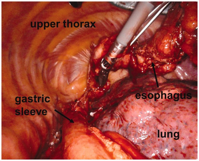 Figure 3.